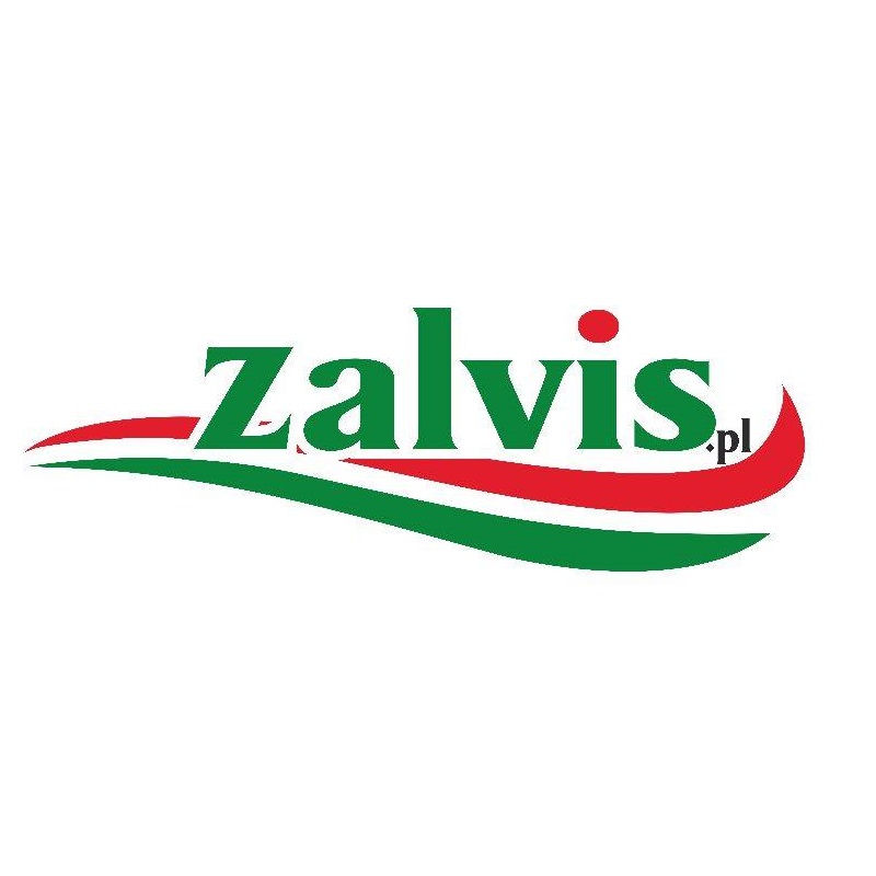 Zalvis-przewozy-osob-Busy-do-Niemiec-busy-do-holandii-polska-niemcy-holandia-bus-do-niemiec-bus-polska-niemcy